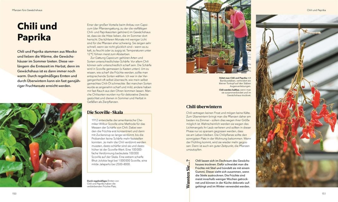 InsideView 6
