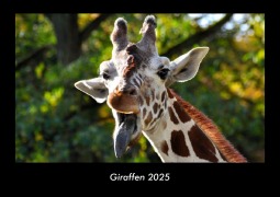 Cover-Bild zum Titel 'Giraffen 2025 Fotokalender DIN A3' von 'Tobias Becker'