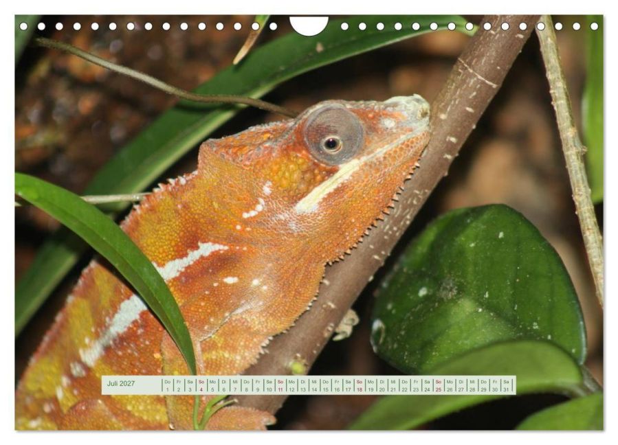 InsideView 12