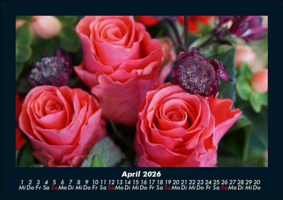 InsideView 8