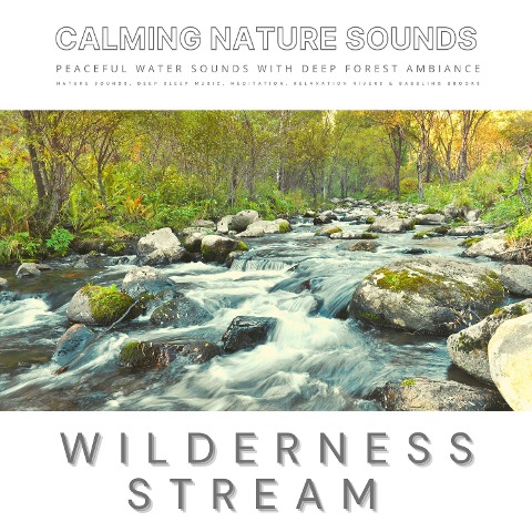 Peaceful Water Sounds With Deep Forest Ambiance: Wilderness Stream & Babbling Brook - Laurence Goldman