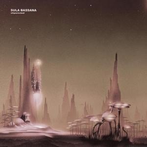 Shipwrecked - Sula Bassana