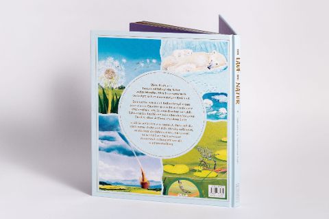 InsideView 3