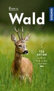 Cover-Bild zum Titel 'Basic Wald' von 'Ute Wilhelmsen'