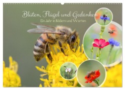 Cover-Bild zum Titel 'Blüten,Flügel und Gedanken - Ein Jahr in Bildern und Worten (Wandkalender 2027 DIN A2 quer), CALVENDO Monatskalender' von 'Edith Nero Photography'
