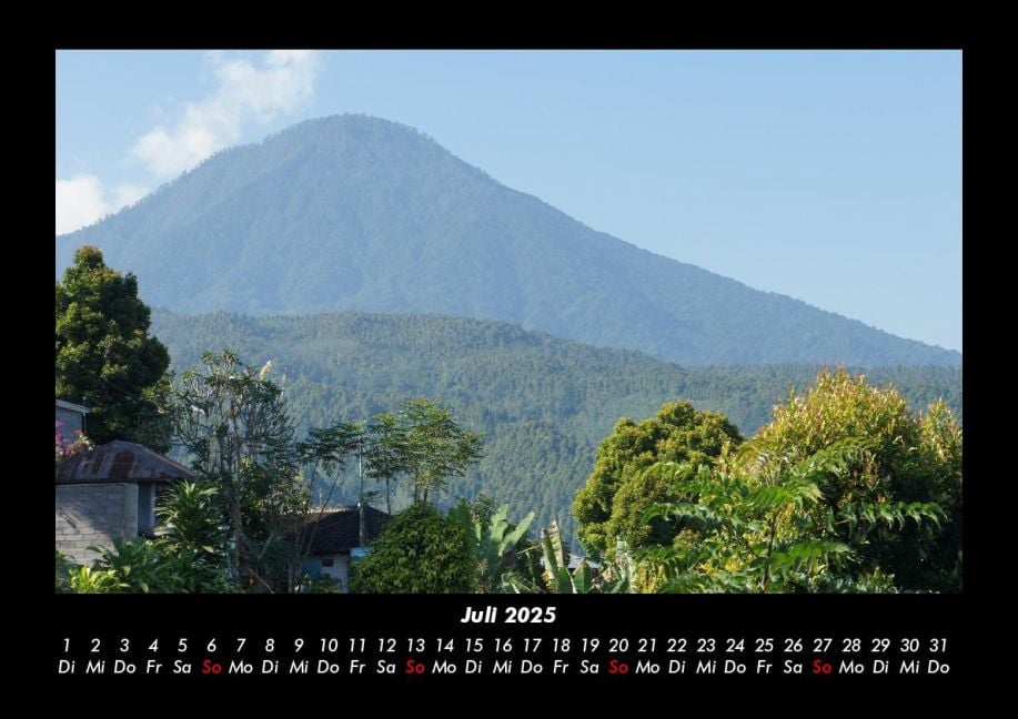 InsideView 11