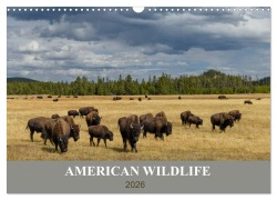 Cover-Bild zum Titel 'American Wildlife (Wandkalender 2026 DIN A3 quer), CALVENDO Monatskalender' von 'Christian Heeb'