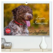 Cover-Bild zum Titel 'Lagotto Romagnolo - Italienischer Trüffelhund (hochwertiger Premium Wandkalender 2026 DIN A2 quer), Kunstdruck in Hochglanz' von 'Sigrid Starick'