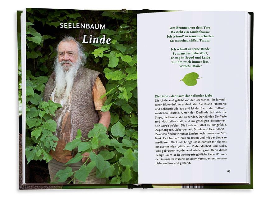 InsideView 5