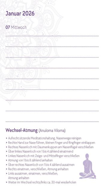 InsideView 11