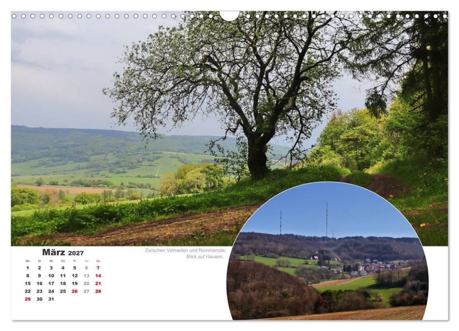 InsideView 8