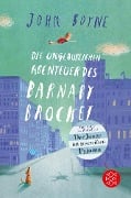 Die unglaublichen Abenteuer des Barnaby Brocket - John Boyne