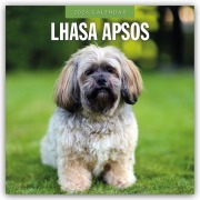 Lhasa Apsos - Lhasa Apso 2026 - 16-Monatskalender - Robin Red
