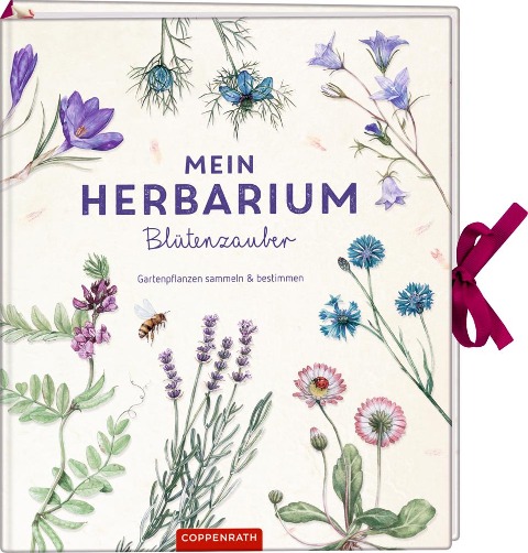 Mein Herbarium: Blütenzauber - Stefanie Zysk