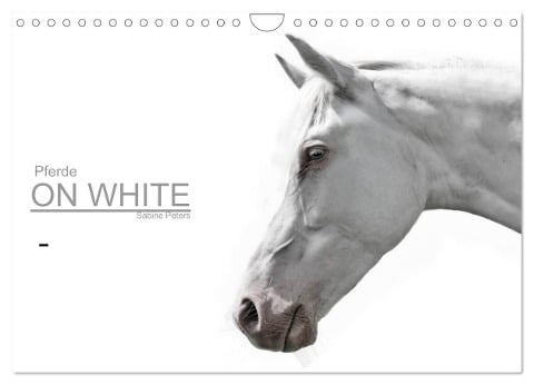 Pferde ON WHITE (Wandkalender 2024 DIN A4 quer), CALVENDO Monatskalender - Sabine Peters