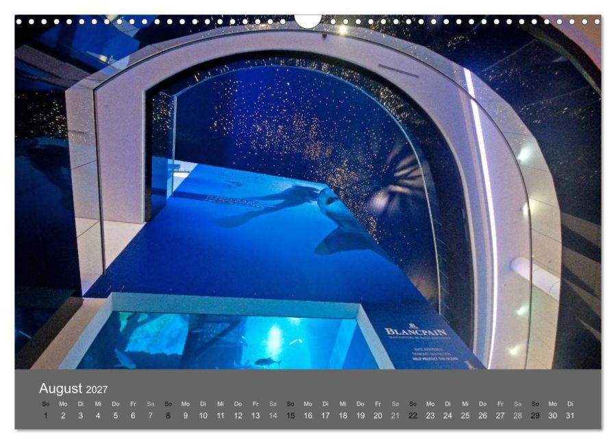 InsideView 13