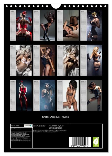 InsideView 5
