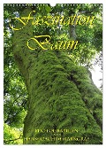 Faszination Baum (Wandkalender 2025 DIN A3 hoch), CALVENDO Monatskalender - Hans-Joachim Markgraf