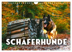 Cover-Bild zum Titel 'Schäferhunde - Die gutmütigen Wegbegleiter. (Wandkalender 2026 DIN A4 quer), CALVENDO Monatskalender' von 'Sf Sf'