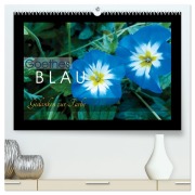 Cover-Bild zum Titel 'Goethes Blau. Gedanken zur Farbe (hochwertiger Premium Wandkalender 2026 DIN A2 quer), Kunstdruck in Hochglanz' von 'Lucy M. Laube'