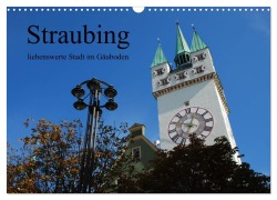 Cover-Bild zum Titel 'Straubing, liebenswerte Stadt im Gäuboden (Wandkalender 2025 DIN A3 quer), CALVENDO Monatskalender' von 'Karin Stein'
