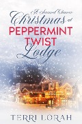 A Second Chance Christmas at Peppermint Twist Lodge (Winterberry Falls, #2) - Terri Lorah