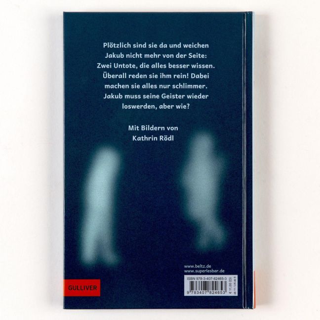 InsideView 5