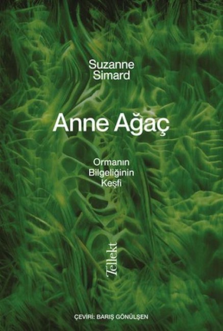 Anne Agac - Ormanin Bilgeligin Kesfi - Suzanne Simard