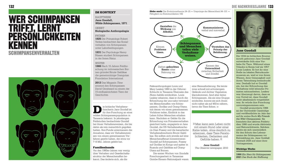 InsideView 4