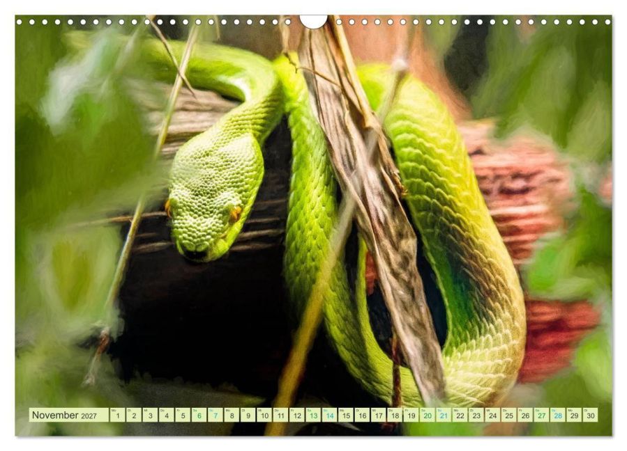InsideView 3