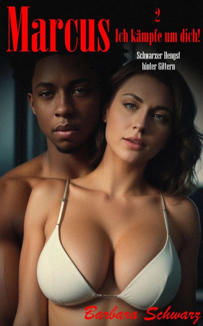 Marcus - Ich kämpfe um Dich!: Schwarzer Hengst hinter Gittern - Barbara Schwarz