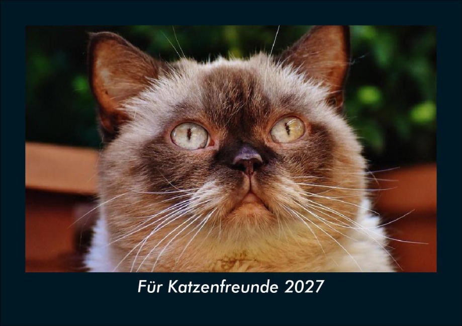 Für Katzenfreunde 2027 Fotokalender DIN A5 - Tobias Schmitt, Kevin Heber
