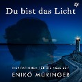 Cover-Bild zum Titel 'Du bist das Licht' von 'Enikö Müringer, iCENTURY'