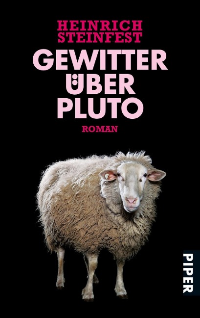 Gewitter über Pluto - Heinrich Steinfest
