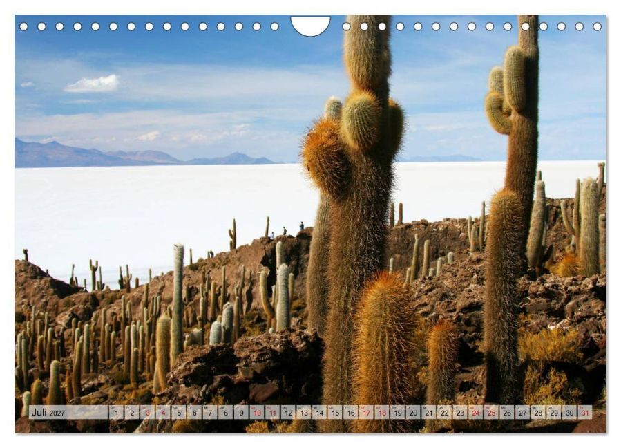 InsideView 12