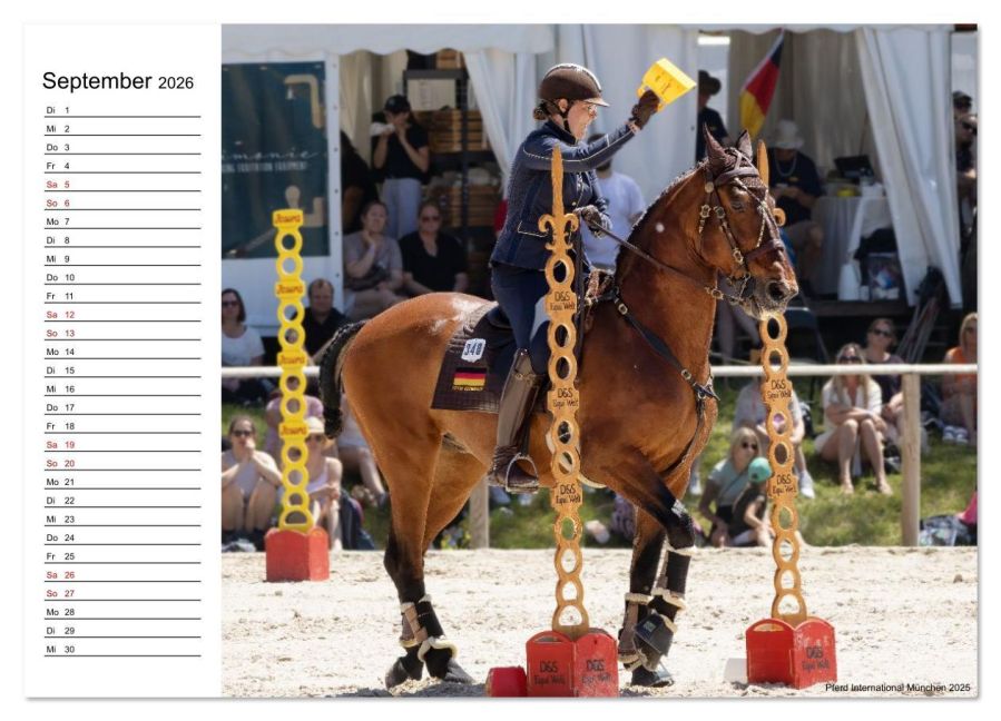 InsideView 14