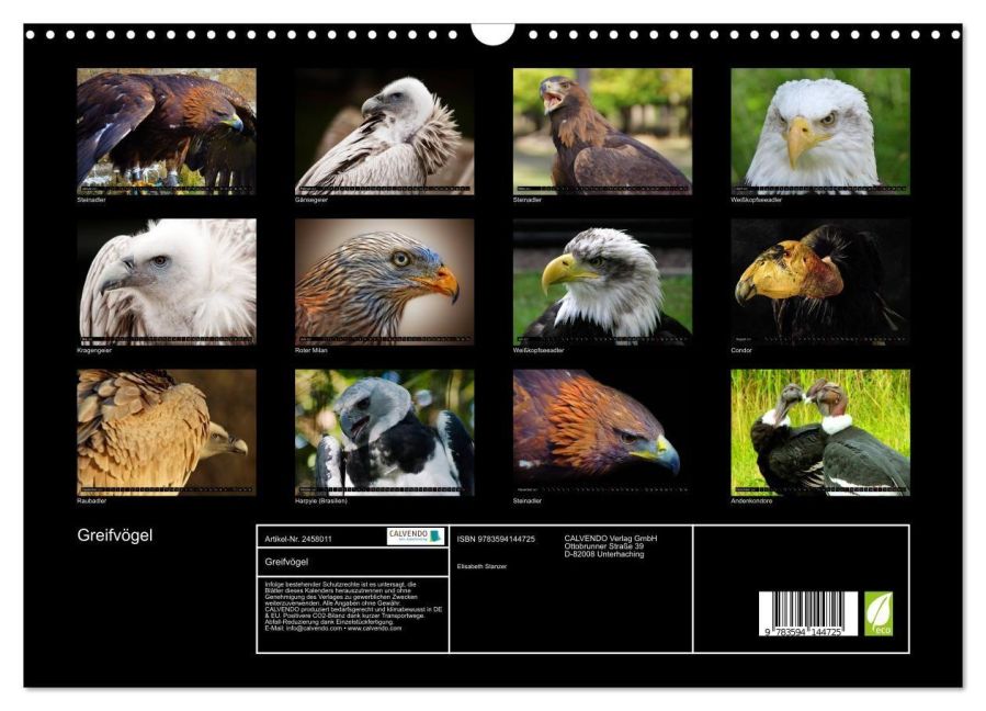 InsideView 5