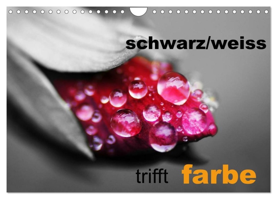 schwarz/weiß trifft farbe (Wandkalender 2027 DIN A4 quer), CALVENDO Monatskalender - Cathrin Kaden