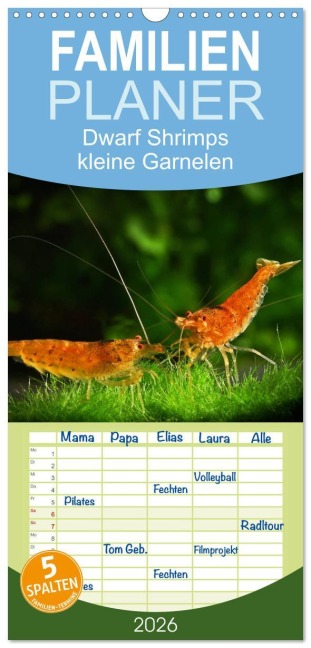 Familienplaner 2026 - Dwarf Shrimps - kleine Garnelen mit 5 Spalten (Wandkalender, 21 x 45 cm) CALVENDO - Rudolf Pohlmann