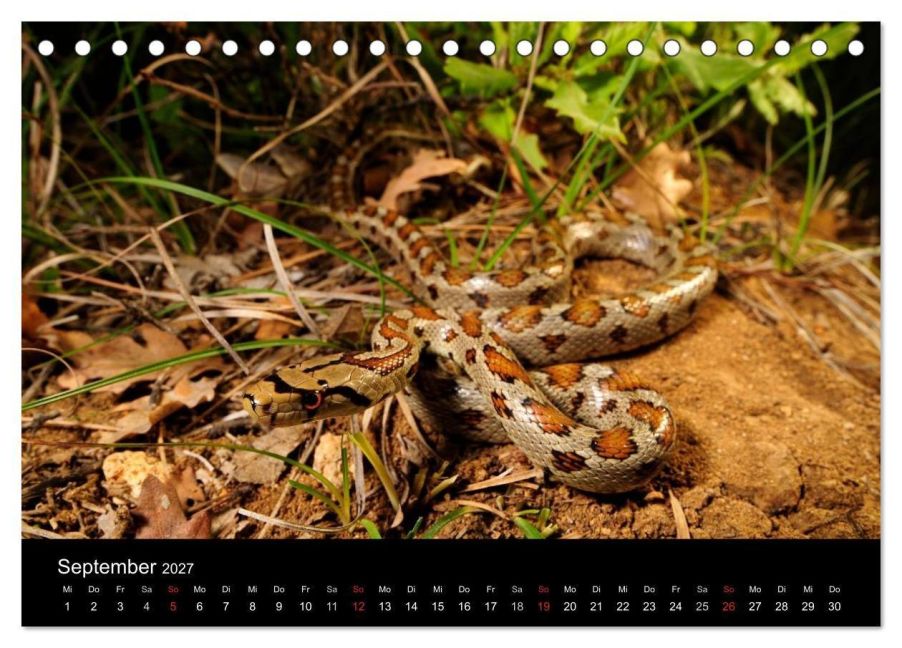 InsideView 14