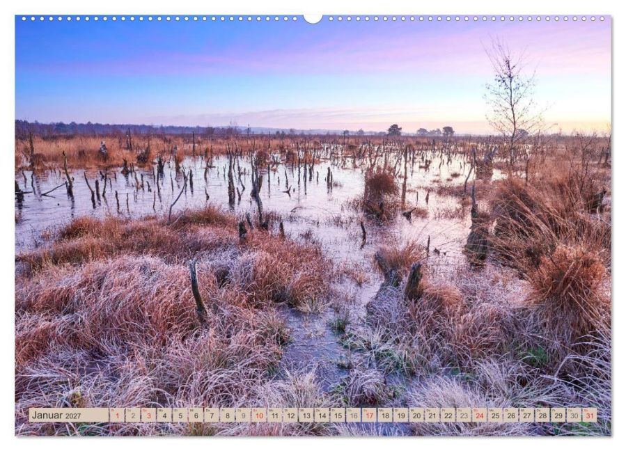 InsideView 6