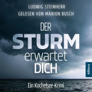 Cover-Bild zum Titel 'Der Sturm erwartet Dich' von 'Ludwig Steinherr'