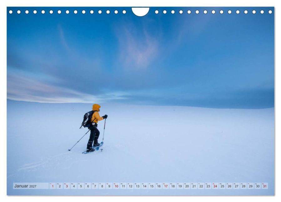 InsideView 6