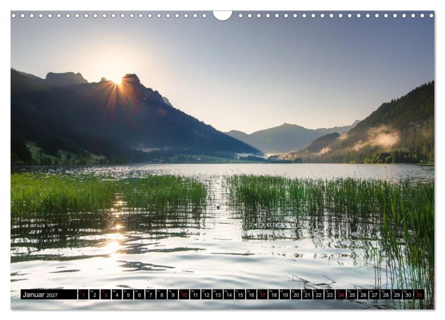 InsideView 6