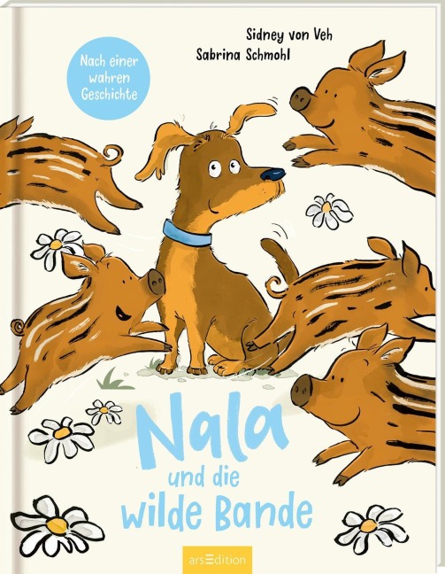 Nala und die wilde Bande - Sabrina Schmohl